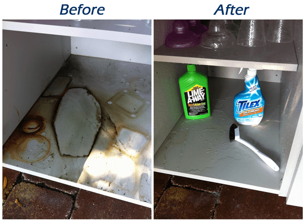 Cabinet Cleaning: Before and After