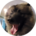 Wade Smith Avatar
